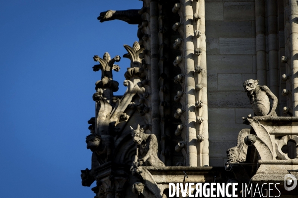 A Notre-Dame de Paris, l échafaudage menace toujours.