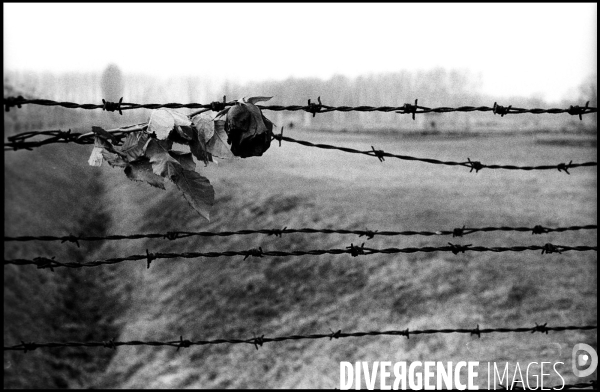 Shoah