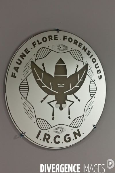 Institut de Recherche Criminelle de la Gendarmerie Nationale (L IRCGN)