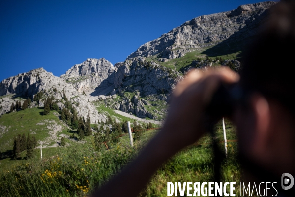 Brucellose et bouquetins dans le massif du Bargy