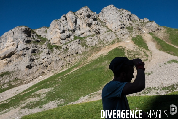 Brucellose et bouquetins dans le massif du Bargy