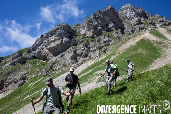 Brucellose et bouquetins dans le massif du Bargy