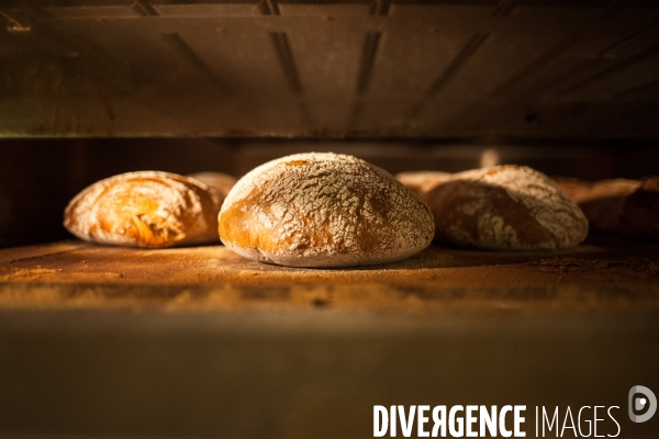 Boulangerie biologique à Grenoble