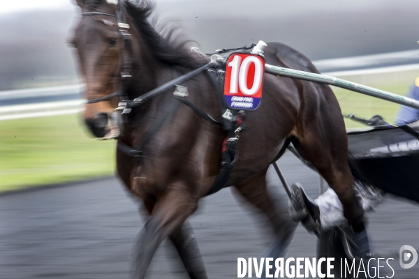 Le Grand Prix d Amérique fête son centenaire