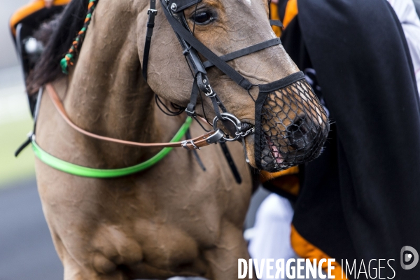 Le Grand Prix d Amérique fête son centenaire