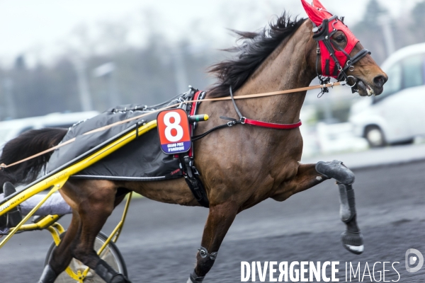 Le Grand Prix d Amérique fête son centenaire