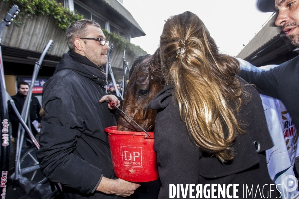 Le Grand Prix d Amérique fête son centenaire