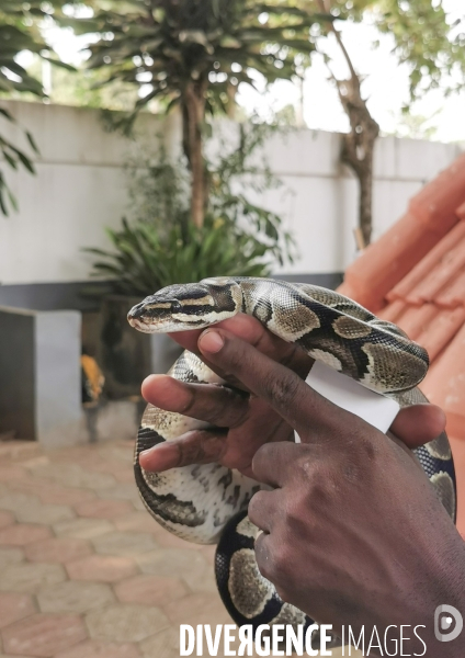 Ouidah/benin