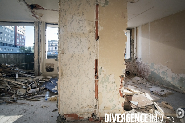 La déconstruction écologique dans le bâtiment. Exemple de la cité Gagarine à Ivry-sur-Seine.