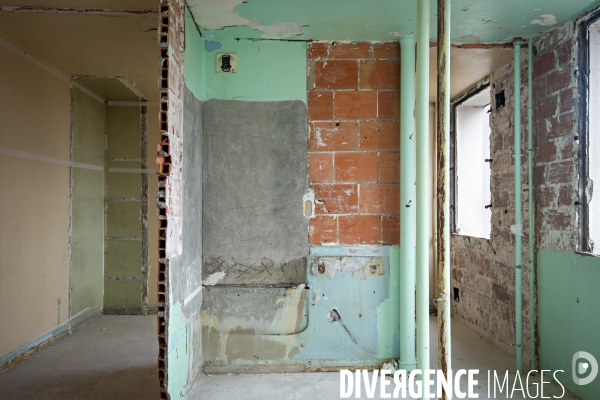 La déconstruction écologique dans le bâtiment. Exemple de la cité Gagarine à Ivry-sur-Seine.