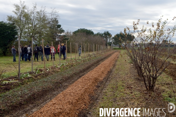 Concours d agroforesterie