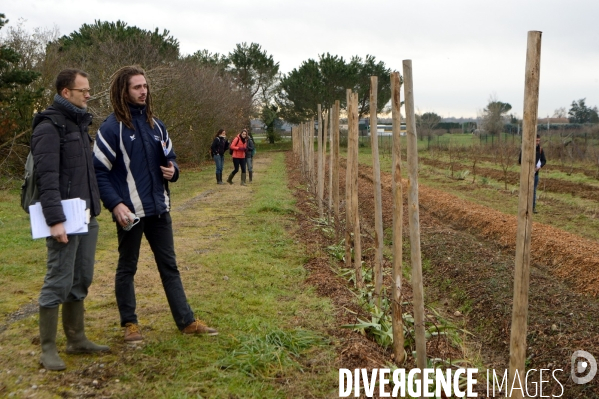 Concours d agroforesterie