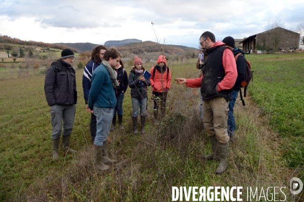 Concours d agroforesterie