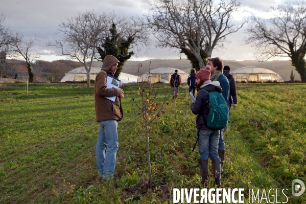 Concours d agroforesterie