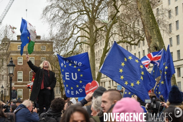 Jour de Brexit à Londres