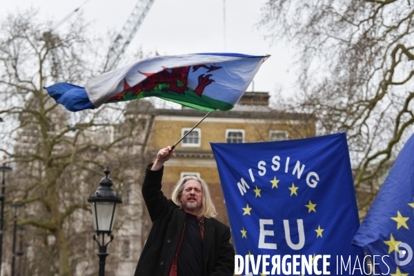 Jour de Brexit à Londres