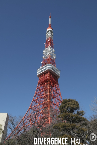 Tour de tokyo