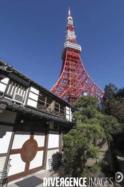 Tour de tokyo