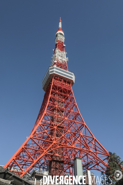 Tour de tokyo