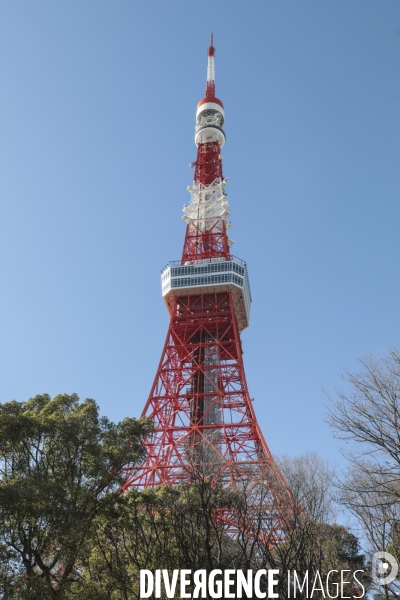 Tour de tokyo