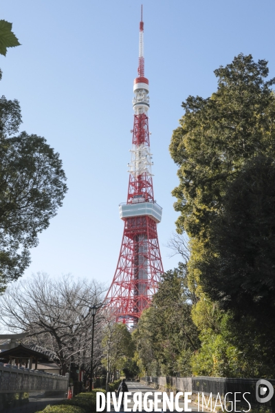 Tour de tokyo