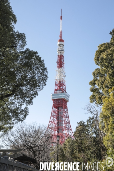 Tour de tokyo