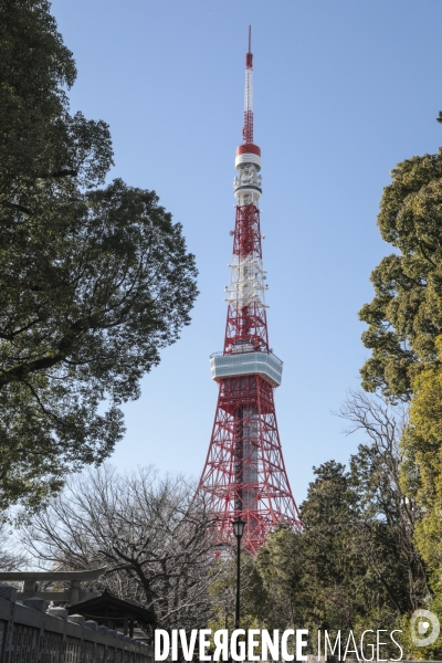 Tour de tokyo