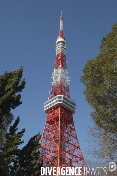 Tour de tokyo