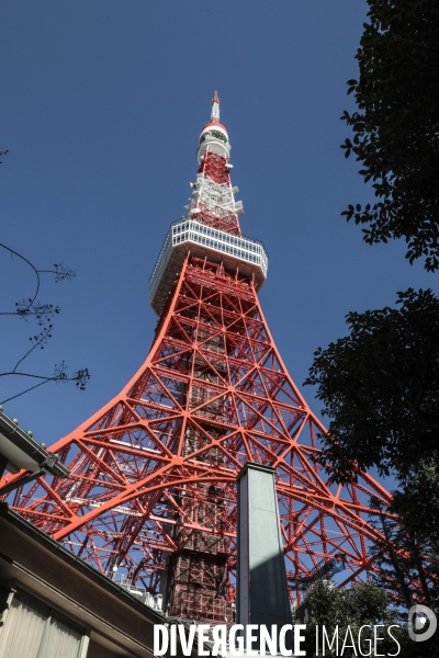 Tour de tokyo