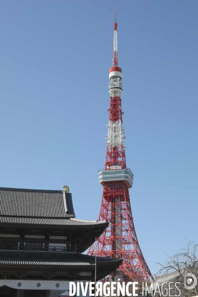 Tour de tokyo