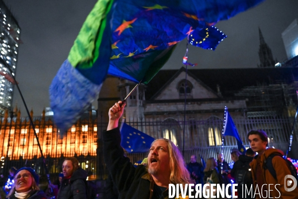 Veillée anti-Brexit à la veille de la sortie du Royaume-Uni de l Union européenne.