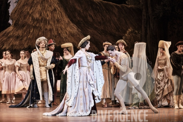 Giselle / Jean Coralli - Jules Perrot / Ballet de l Opéra national de paris