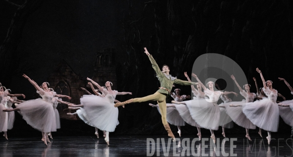 Giselle / Jean Coralli - Jules Perrot / Ballet de l Opéra national de paris