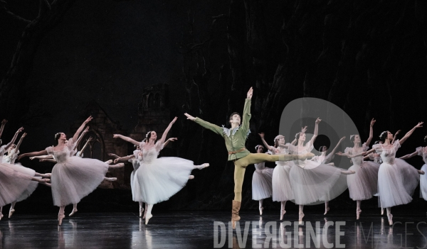 Giselle / Jean Coralli - Jules Perrot / Ballet de l Opéra national de paris
