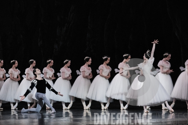 Giselle / Jean Coralli - Jules Perrot / Ballet de l Opéra national de paris