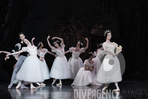 Giselle / Jean Coralli - Jules Perrot / Ballet de l Opéra national de paris