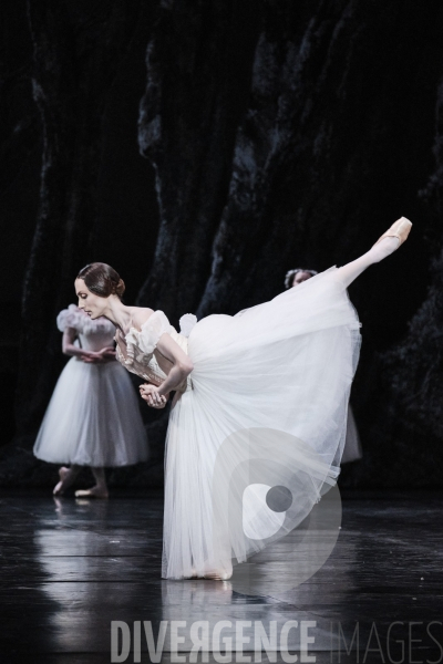 Giselle / Jean Coralli - Jules Perrot / Ballet de l Opéra national de paris