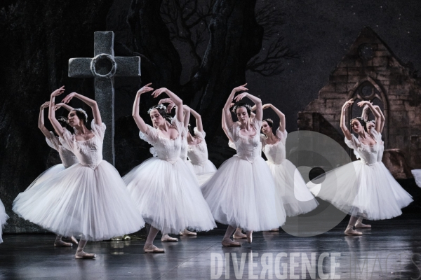 Giselle / Jean Coralli - Jules Perrot / Ballet de l Opéra national de paris