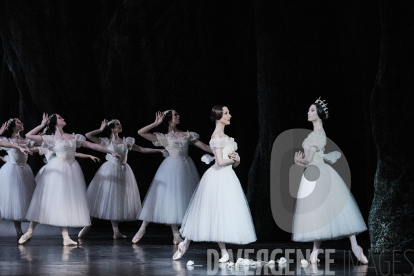 Giselle / Jean Coralli - Jules Perrot / Ballet de l Opéra national de paris