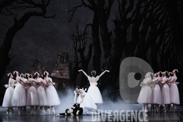 Giselle / Jean Coralli - Jules Perrot / Ballet de l Opéra national de paris