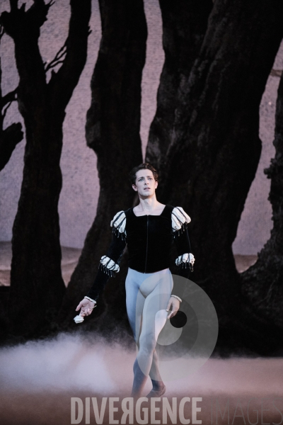 Giselle / Jean Coralli - Jules Perrot / Ballet de l Opéra national de paris