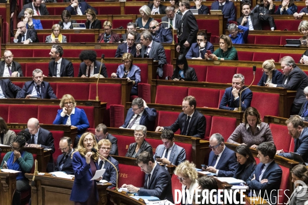 Questions au gouvernement à l assemblée nationale.