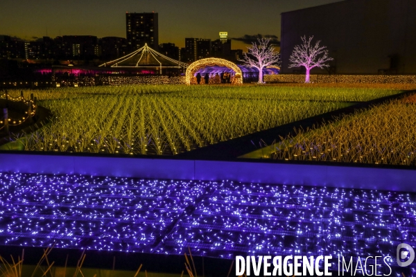 Rizieres de lumiere a tokyo