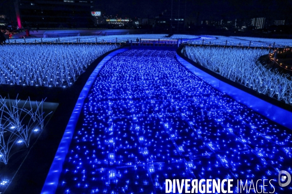 Rizieres de lumiere a tokyo