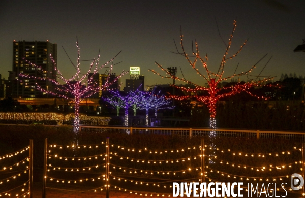 Rizieres de lumiere a tokyo