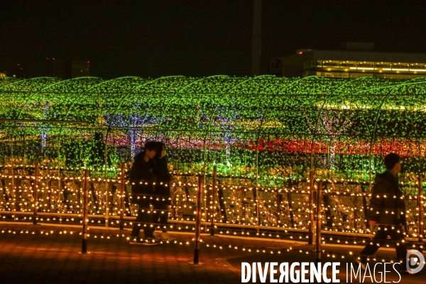 Rizieres de lumiere a tokyo