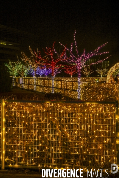 Rizieres de lumiere a tokyo