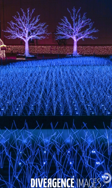 Rizieres de lumiere a tokyo