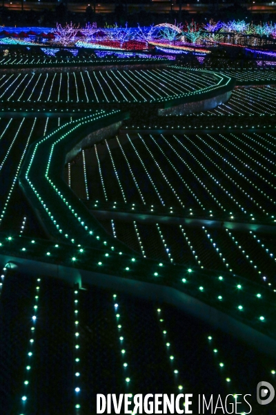 Rizieres de lumiere a tokyo