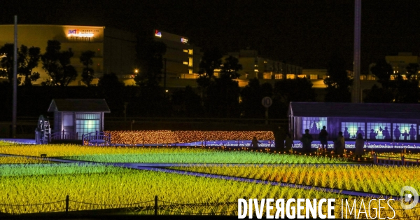 Rizieres de lumiere a tokyo